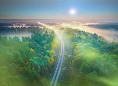 Rails through the forest from above